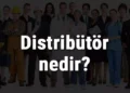 Distribütör Nedir?