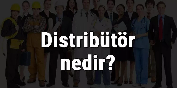 Distribütör Nedir?