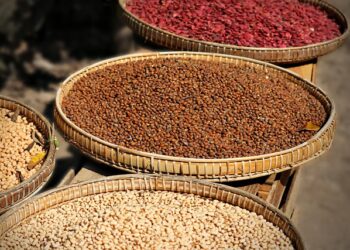 Sebze ve Meyveler Nasıl Kurutulur?