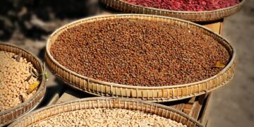 Sebze ve Meyveler Nasıl Kurutulur?