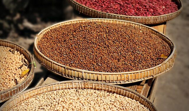 Sebze ve Meyveler Nasıl Kurutulur?