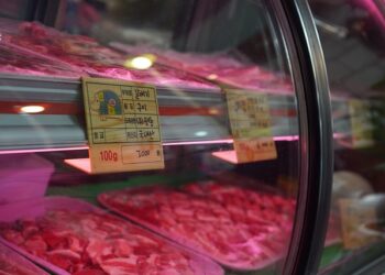 Kasap Dükkanı Nasıl Açılır