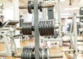 Parallel Bar Dips