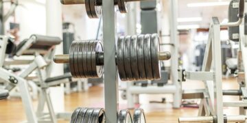 Parallel Bar Dips