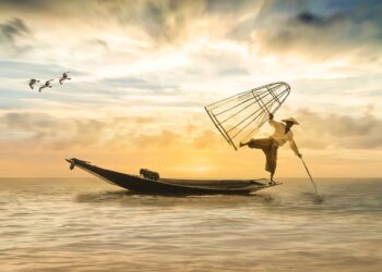 Balık Tutarak Nasıl Para Kazanılır