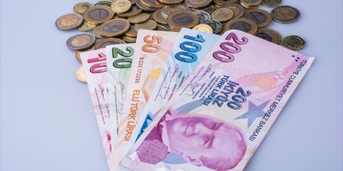 Günlük Kazanç Elde Edebileceğiniz İş Fikirleri