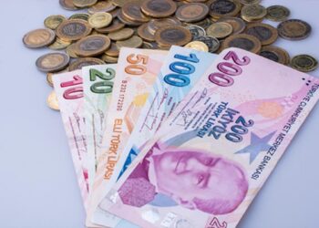 Günlük Kazanç Elde Edebileceğiniz İş Fikirleri