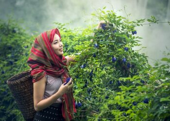 Teknolojinin tarıma etkisi