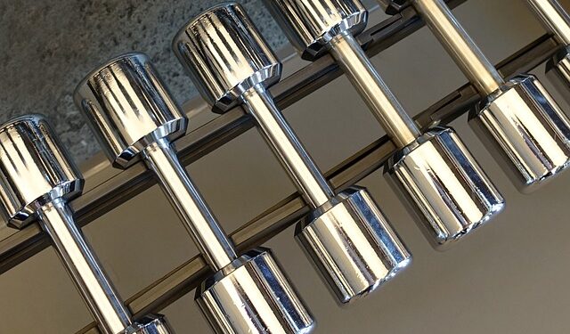 Dumbbell Lateral Raise