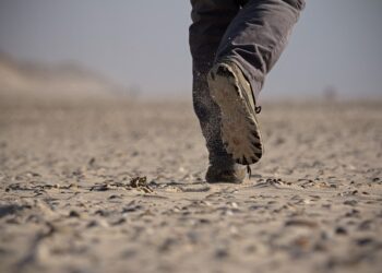 Adım Para İle Para Kazanma Yolları