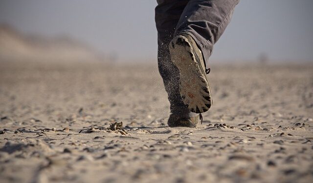 Adım Para İle Para Kazanma Yolları