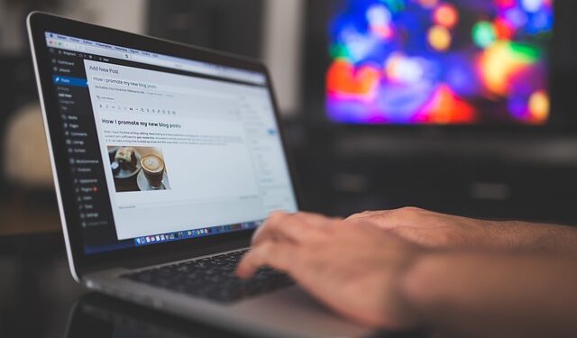 WordPress İle Nasıl Para Kazanılır