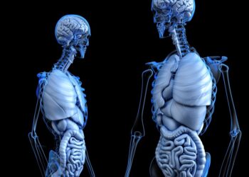 Menopoz Dönemindeki Osteoporoz Riski