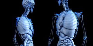 Menopoz Dönemindeki Osteoporoz Riski