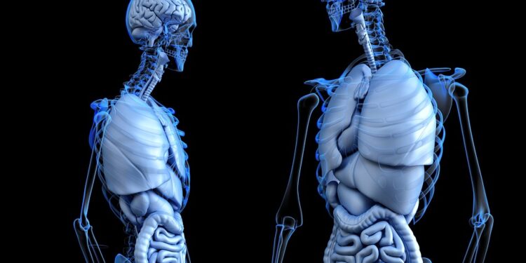 Menopoz Dönemindeki Osteoporoz Riski