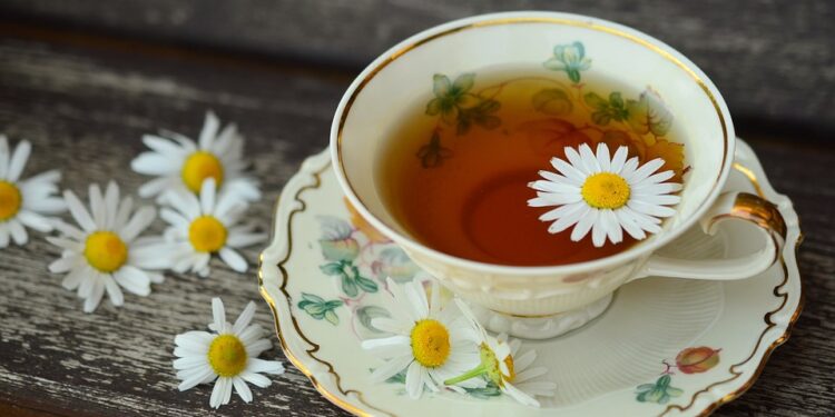 Bitki çaylarının sağlığa faydaları nelerdir?