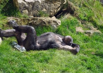 Tembellikten Kurtulma Yolları