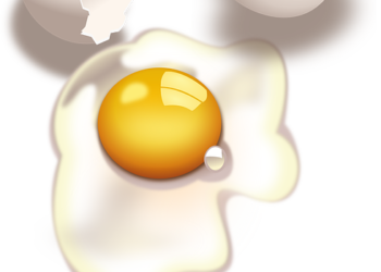 Organik Yumurta Üreterek Para Kazanma