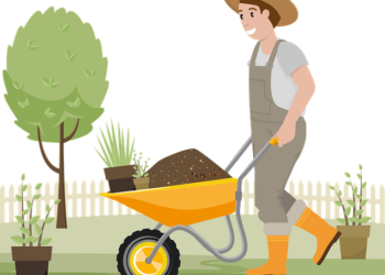 Bahçıvanlık Yaparak Para Kazanma Yolları