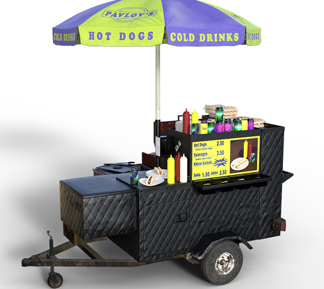 Seyyar Pilavcı Açarak Para Kazanma