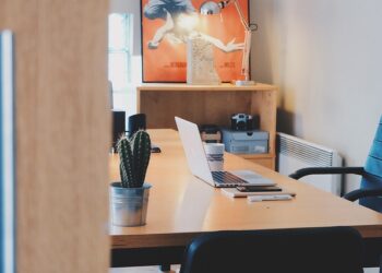 Girişimcilikte Merak Neden Önemlidir