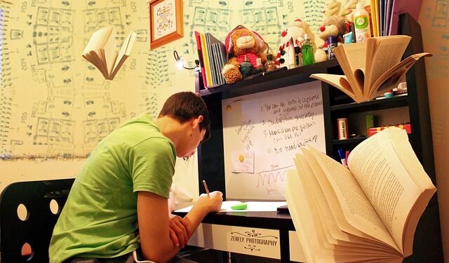 Uzaktan Eğitimin Yararları ve Zararları