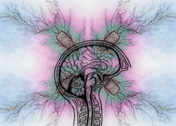 Odaklanma Sorunu Neden Olur