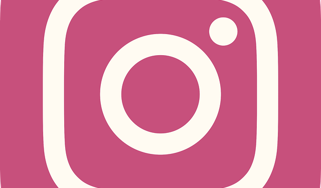İnstagram Arama Önerileri Silme