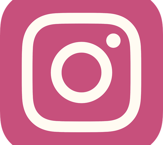 İnstagram Arama Önerileri Silme