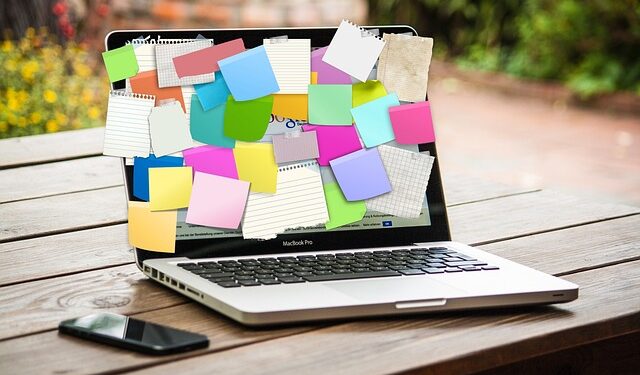 Kendi Alanınızda Başarılı Olmak