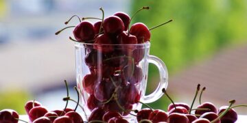 Sağlıklı Bir Yaşam