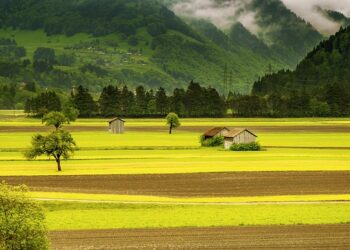 Hayvan Yetiştiriciliği
