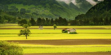 Hayvan Yetiştiriciliği