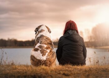 Affedilmeyecek Hatalar