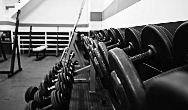 Weighted Bench Dips Nasıl Yapılır