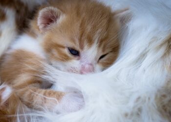 Sevildiğinizi Nasıl Anlarsınız