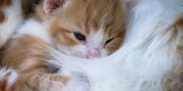 Sevildiğinizi Nasıl Anlarsınız