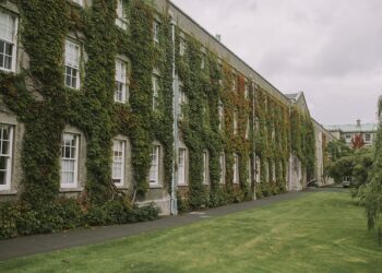 Üniversite Okumak Şart Mı?