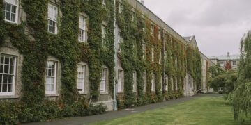 Üniversite Okumak Şart Mı?