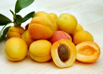 Kayısının Faydaları ve Zararları