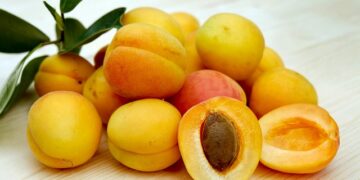 Kayısının Faydaları ve Zararları