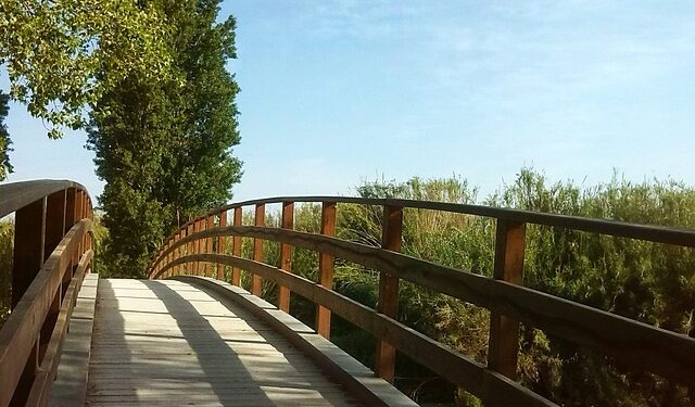 Girişimcilikte Önemli Detaylar