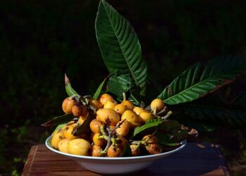 Muşmulanın Faydaları ve Zararları Nelerdir