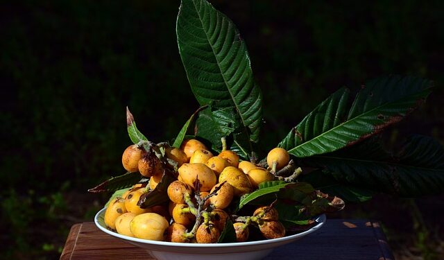 Muşmulanın Faydaları ve Zararları Nelerdir