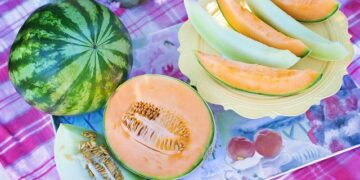 Kavunun Faydaları ve Zararları