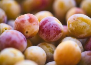 Malta Eriğinin Faydaları ve Zararları Nelerdir