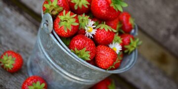 Çileğin faydaları ve zararları nelerdir