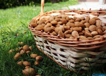 Acı Bademin Faydaları ve Zararları Nelerdir