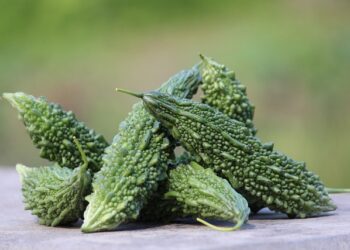 Acı Kavunun Faydaları ve Zararları Nelerdir