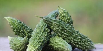 Acı Kavunun Faydaları ve Zararları Nelerdir